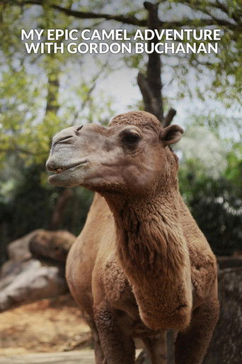 Watch My Epic Camel Adventure With Gordon Buchanan 2024 poster