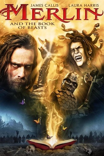 Watch Merlin and the Book of Beasts 2009 poster