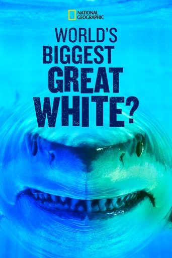 Watch World's Biggest Great White? 2019 poster