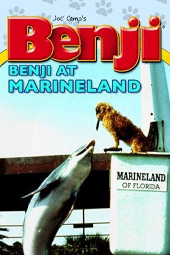 Watch Benji at Marineland 1981 poster