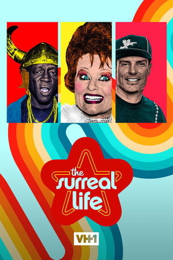 Watch The Surreal Life 2003 poster