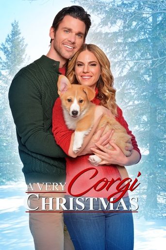 Watch A Very Corgi Christmas 2019 poster