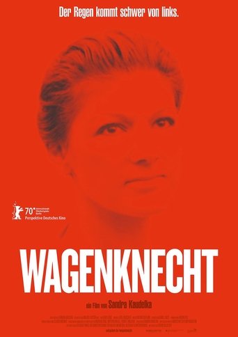 Watch Wagenknecht 2020 poster