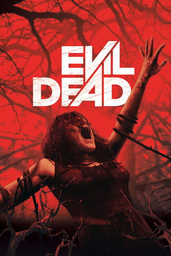 Watch Evil Dead 2013 poster