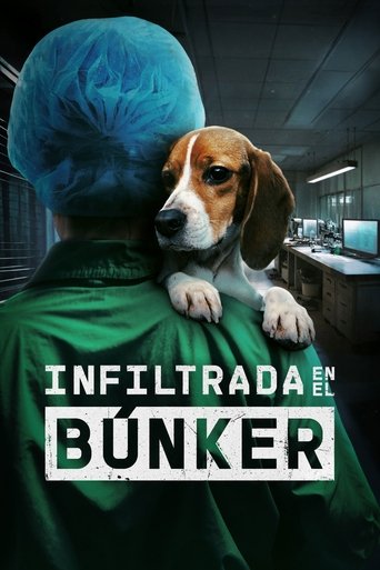 Watch Undercover. Inside the Bunker 2025 poster