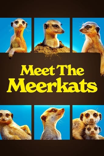 Watch Meet the Meerkats 2021 poster