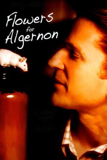 Watch Flowers for Algernon 2000 poster