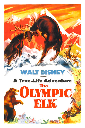Watch The Olympic Elk 1952 poster