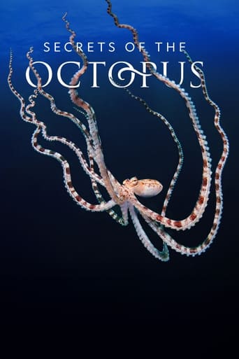 Watch Secrets of the Octopus 2024 poster
