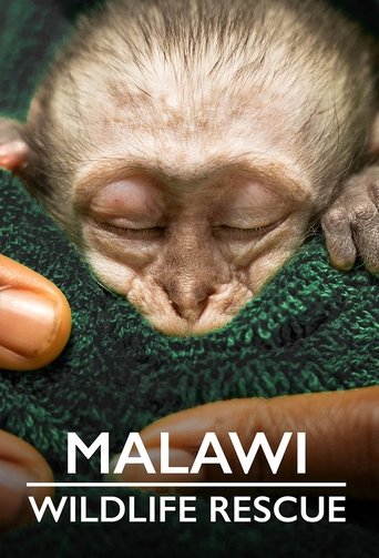 Watch Malawi Wildlife Rescue 2021 poster