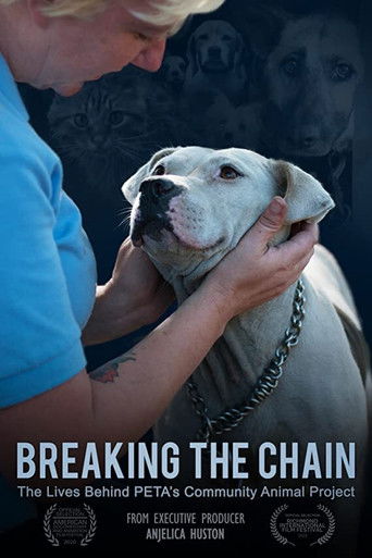 Watch Breaking the Chain 2020 poster