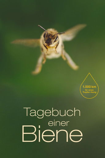 Watch Diary of a Bee 2021 poster