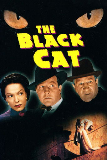 Watch The Black Cat 1941 poster