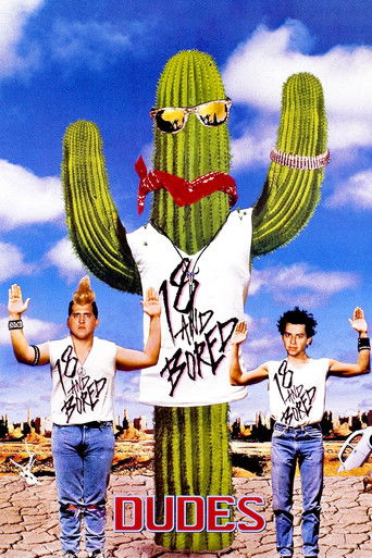 Watch Dudes 1987 poster
