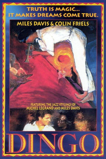 Watch Dingo 1991 poster