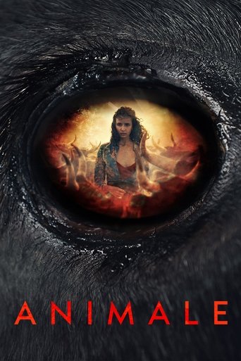 Watch Animale 2024 poster