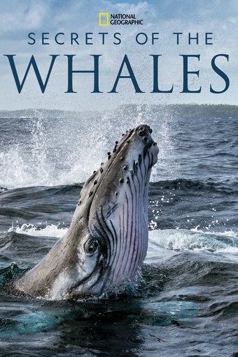 Watch Secrets of the Whales 2021 poster