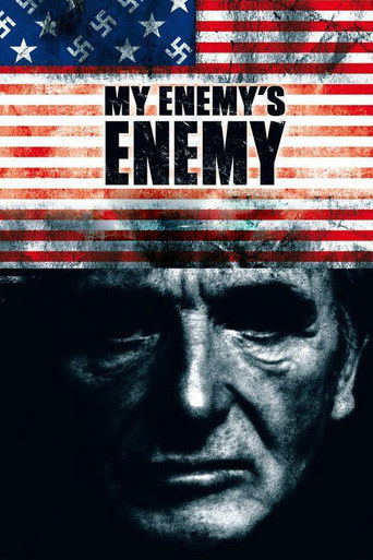 Watch My Enemy's Enemy 2007 poster
