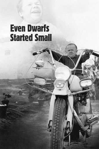 Watch Even Dwarfs Started Small 1970 poster