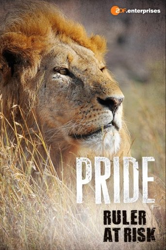 Watch Pride Ruler at Risk 2016 poster
