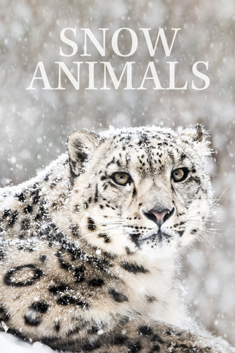 Watch Snow Animals 2019 poster
