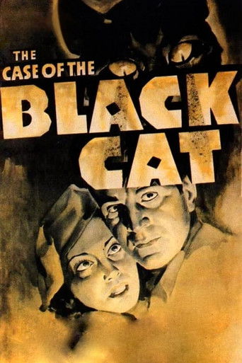 Watch The Case of the Black Cat 1936 poster
