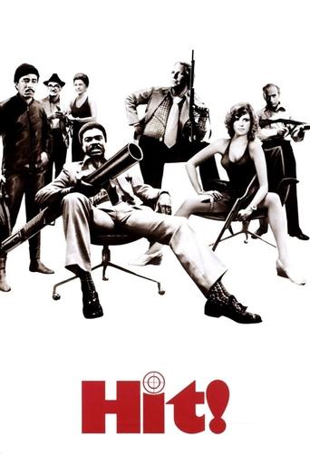 Watch Hit! 1973 poster