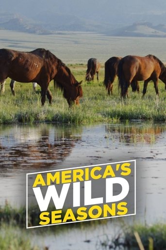Watch America's Wild Seasons 2019 poster