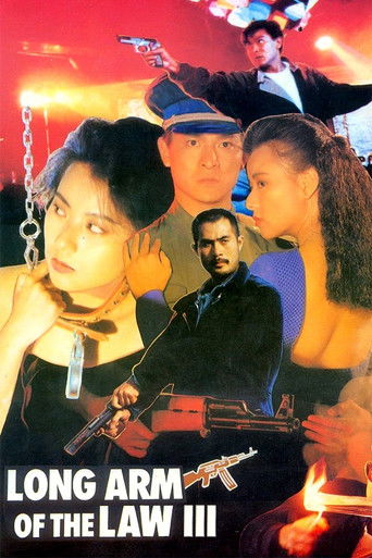 Watch Long Arm of the Law III 1989 poster