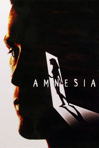 Watch Amnesia 1997 poster