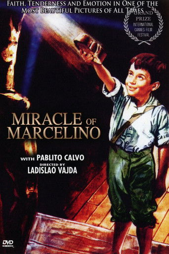 Watch The Miracle of Marcelino 1955 poster