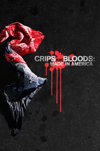 Watch Crips and Bloods: Made in America 2009 poster
