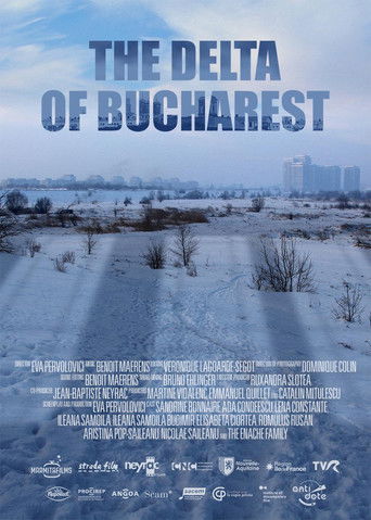 Watch The Delta of Bucharest 2020 poster