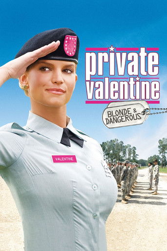 Watch Private Valentine: Blonde & Dangerous 2008 poster