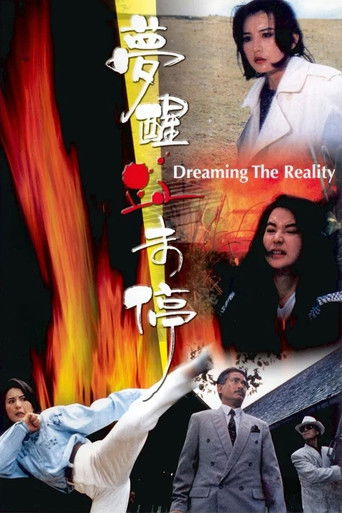 Watch Dreaming the Reality 1991 poster