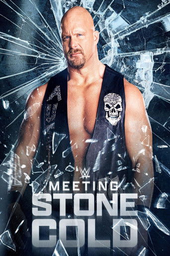Watch Meeting Stone Cold 2021 poster