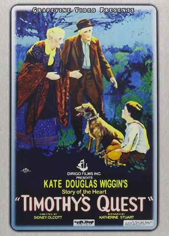 Watch Timothy's Quest 1922 poster