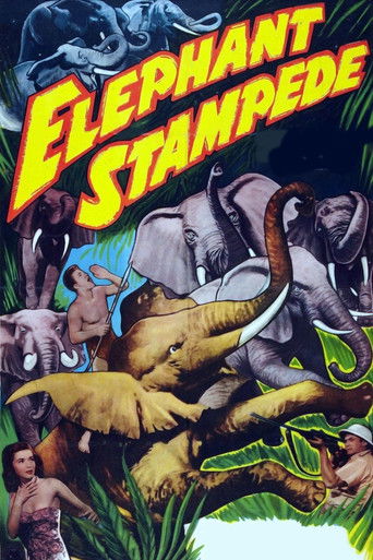Watch Elephant Stampede 1951 poster