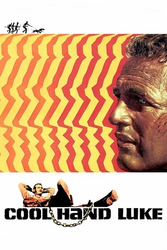 Watch Cool Hand Luke 1967 poster