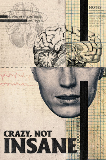 Watch Crazy, Not Insane 2020 poster