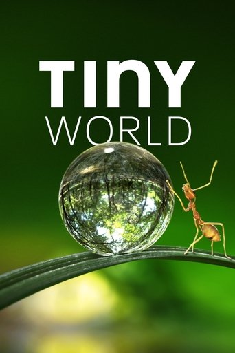 Watch Tiny World 2020 poster