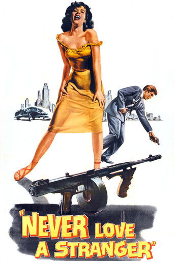 Watch Never Love a Stranger 1958 poster