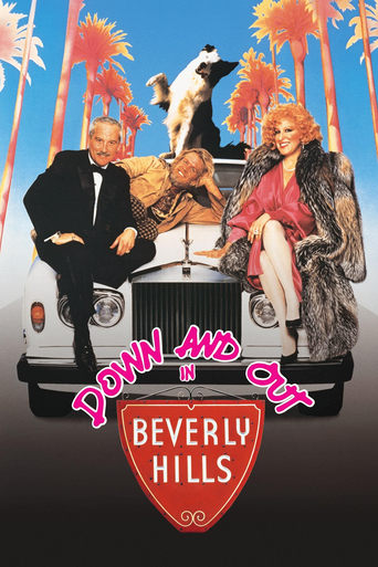 Watch Down and Out in Beverly Hills 1986 poster