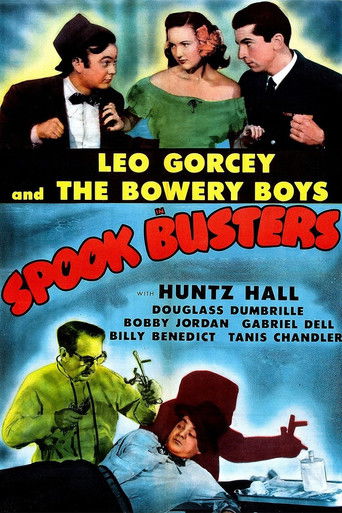 Watch Spook Busters 1946 poster