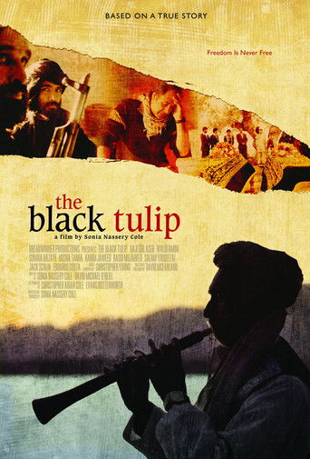 Watch The Black Tulip 2012 poster