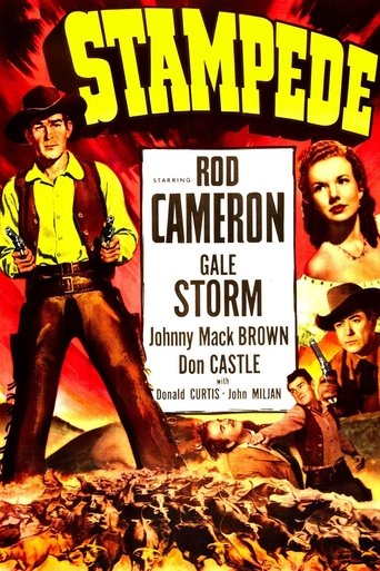 Watch Stampede 1949 poster