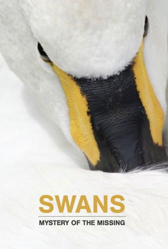 Watch Swans: Mystery of the Missing 2019 poster