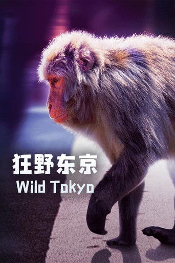 Watch Wild Tokyo 2021 poster