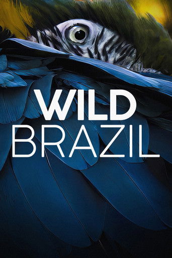 Watch Wild Brazil 2014 poster