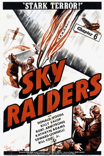 Watch Sky Raiders 1941 poster